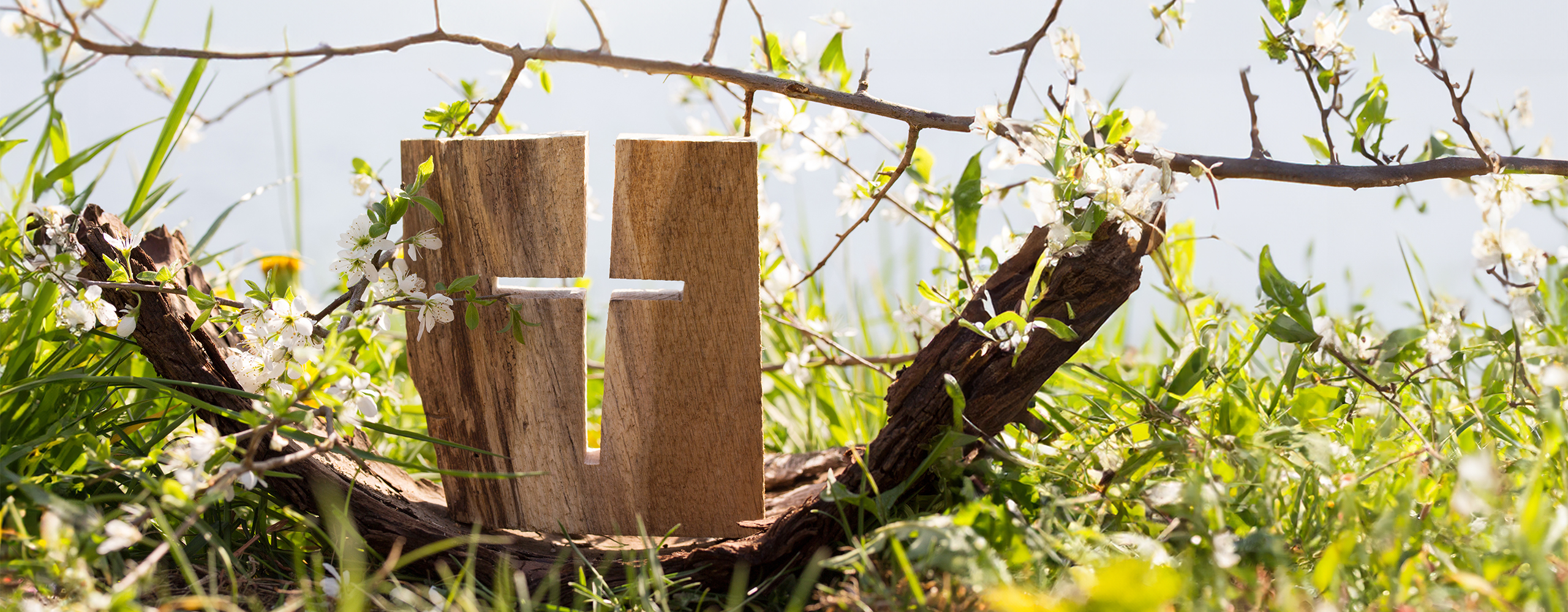 ostern-1-header-adobestock-243694171-2560x1000px